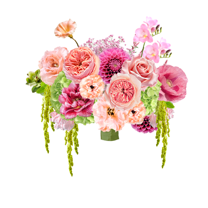Bloom Vision